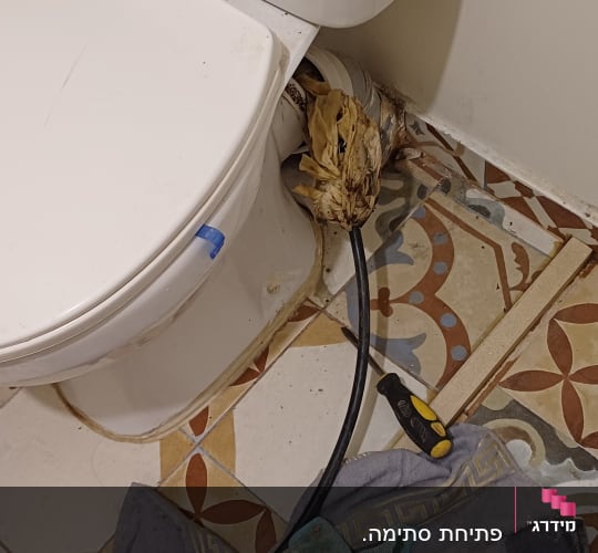 אסלה, מגבת וכלי עבודה על רצפת חדר אמבטיה